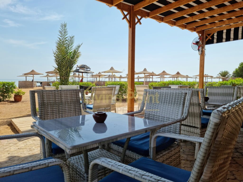 Студия в Turtles Beach Resort по привлекательной цене — Turtles Beach Al Ahyaa